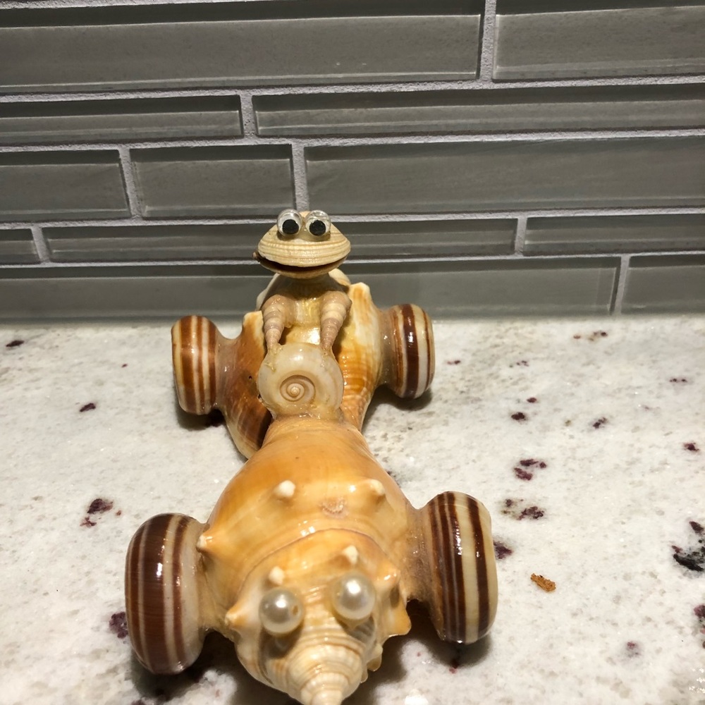 Shell People and 2 Shell Keychains Included - Picture 4 of 16
